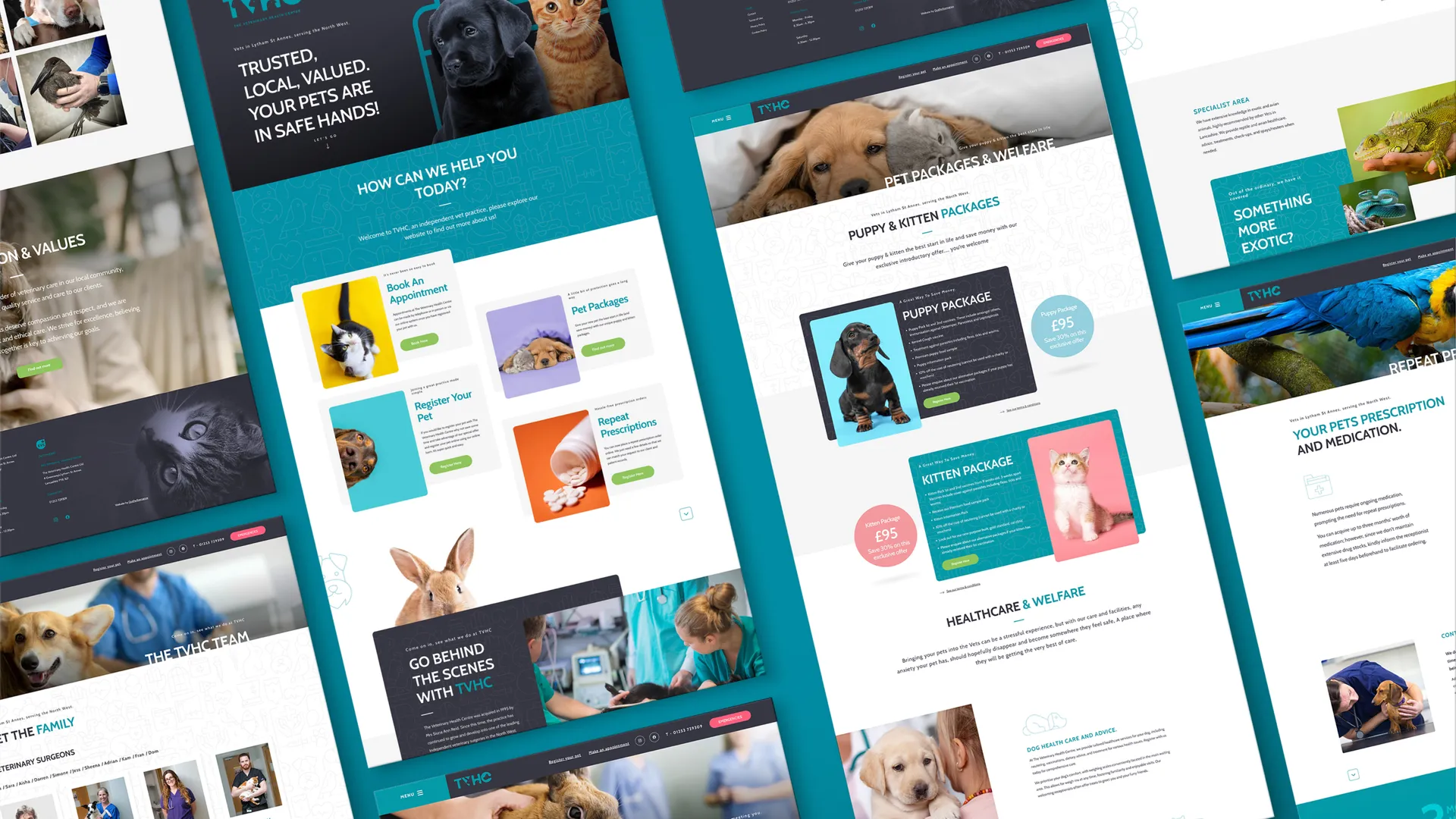 TVHC website designed by DotPerformance showing multiple page layouts including the homepage, mission and values, team page, pet packages, puppy and kitten packages, exotic animals section and repeat prescriptions page